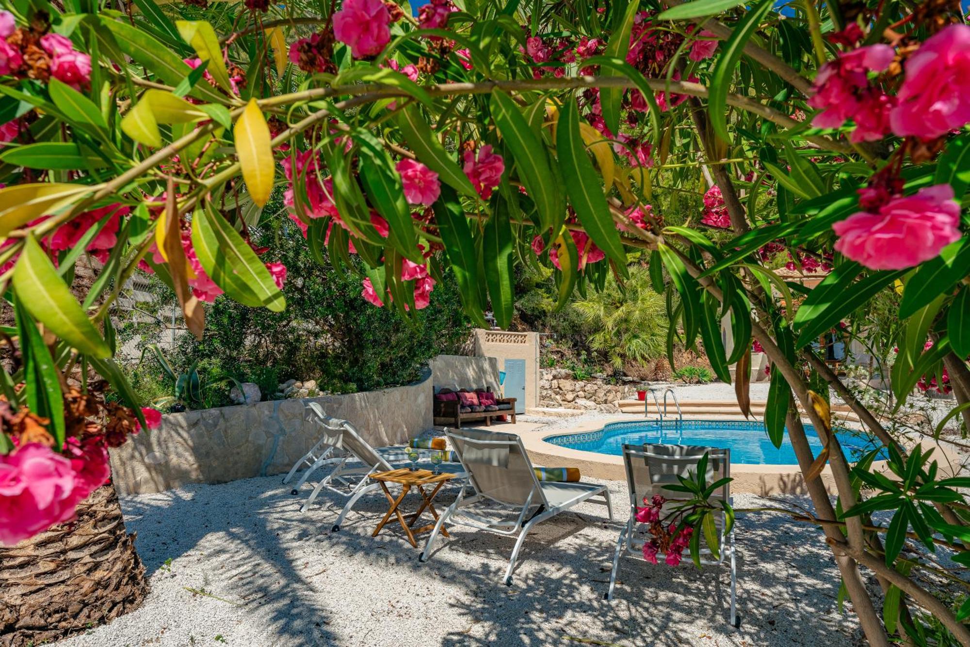 Casa Coromandel Holiday home *